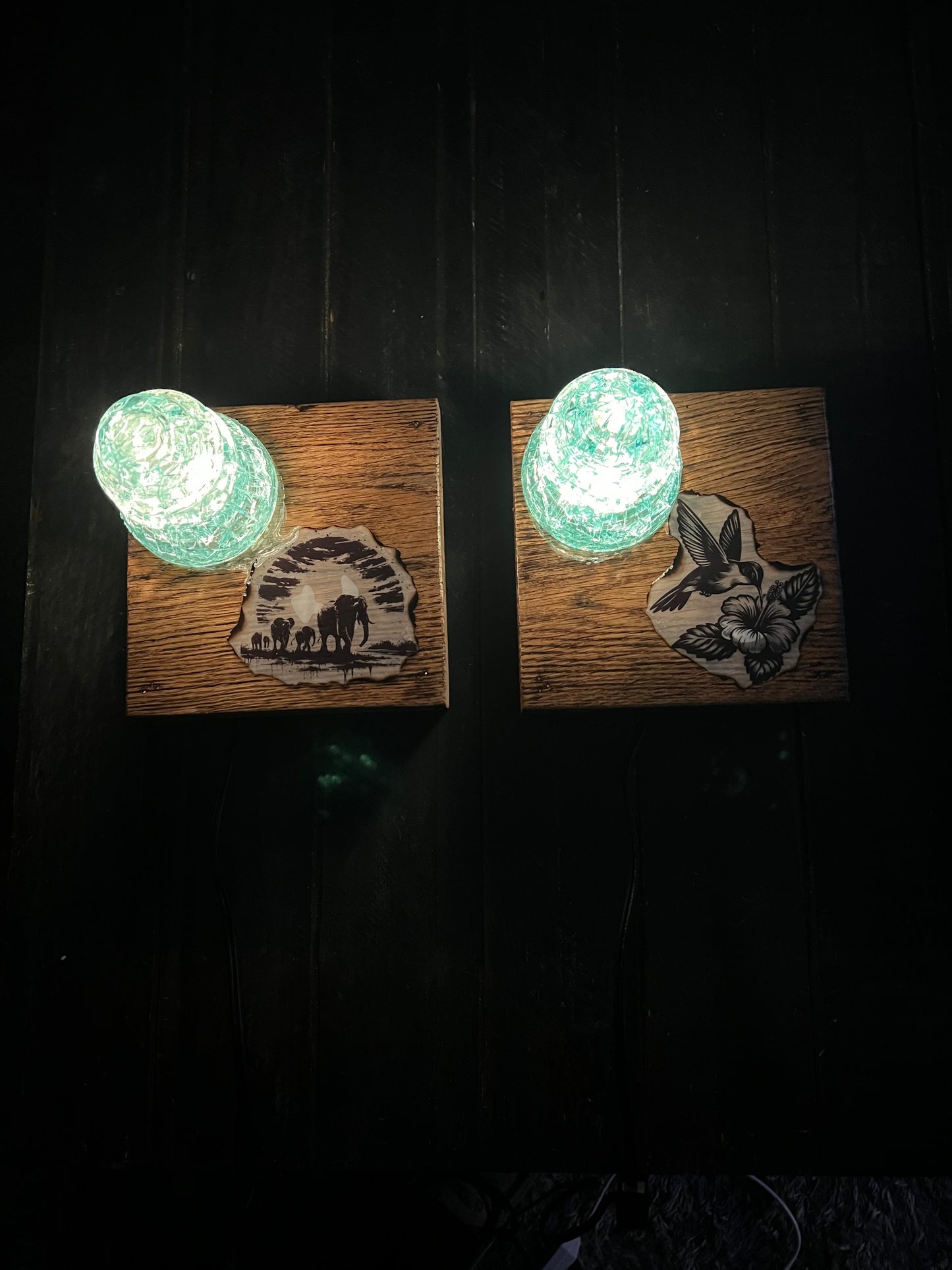 Unique Nightlight Crystalized electric insulator and artwork