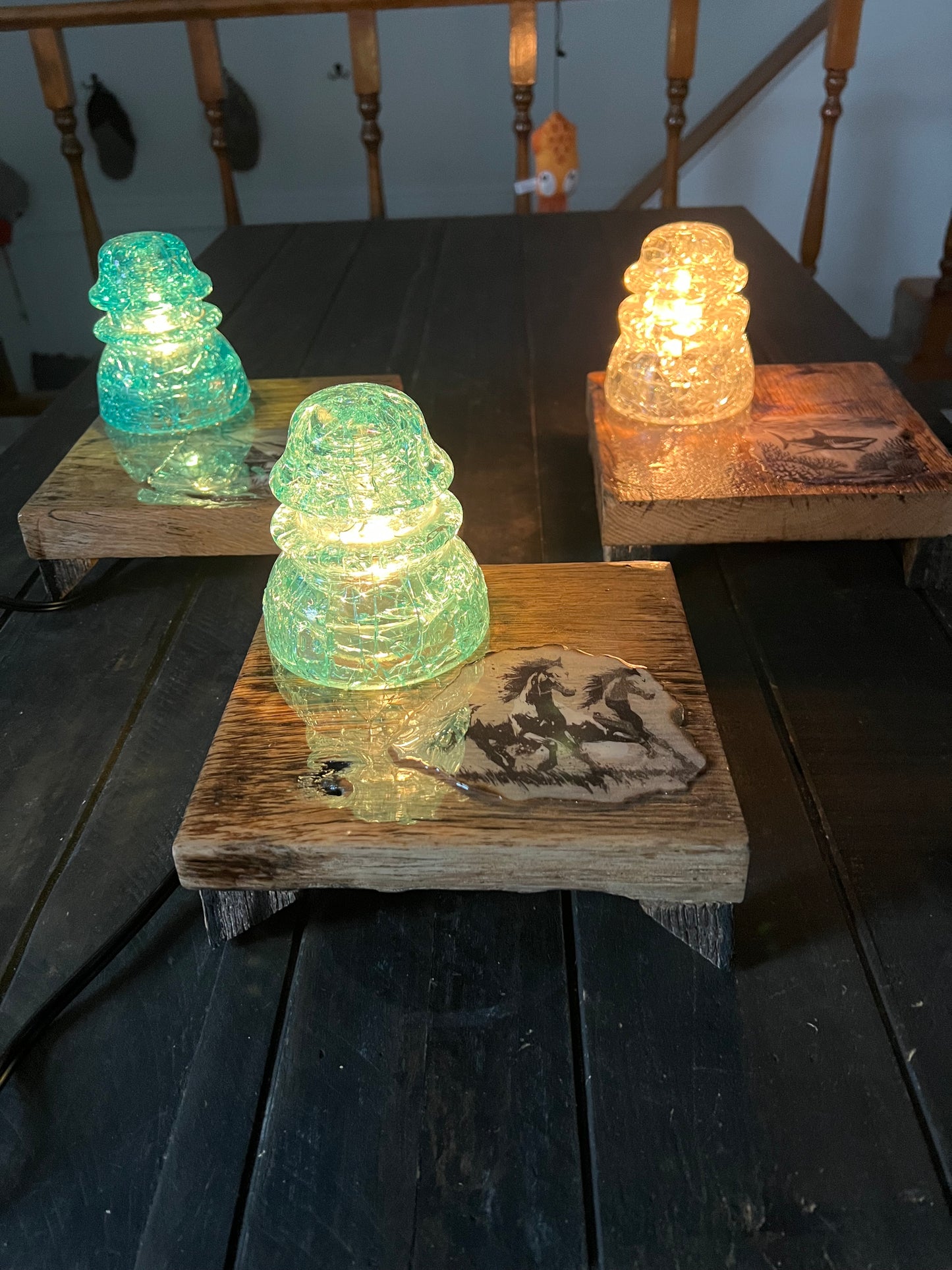 Unique Nightlight Crystalized electric insulator and artwork